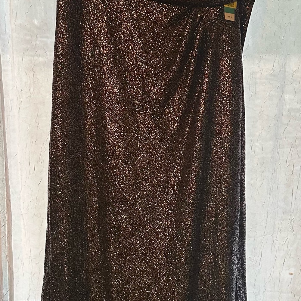 Sparkling Black and Brown Dress